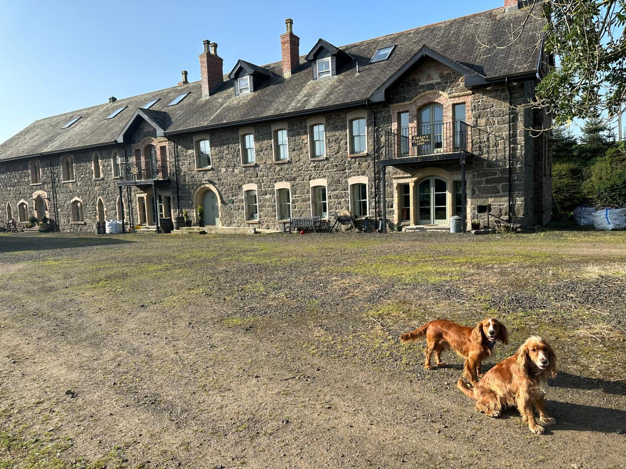 Вилла The Old Flax Mill Yoga Retreat Колрейн Экстерьер фото